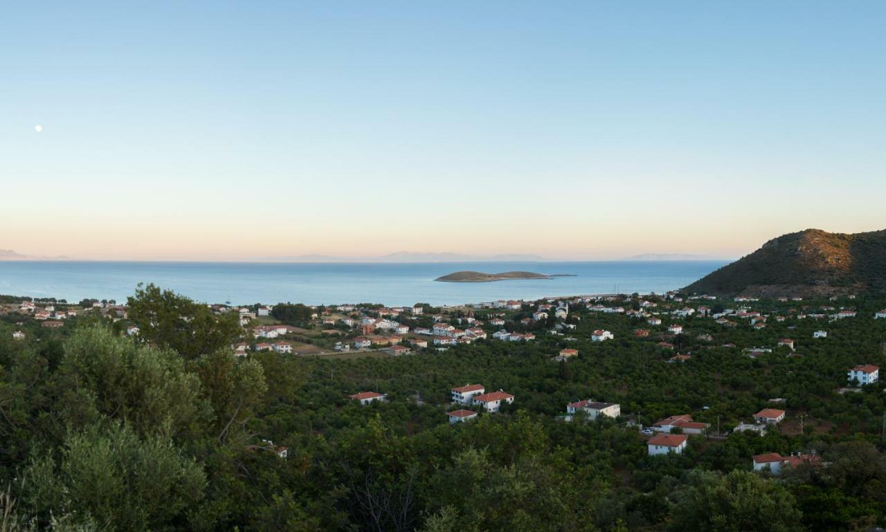 Karia Hotel Palamutbuekue Eksteriør bilde